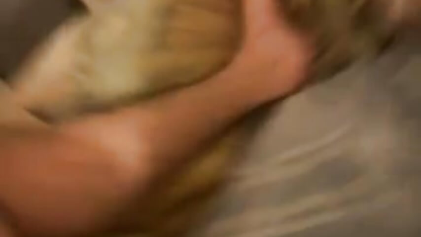 77330245678__371CBFD6-D72A-4D19-8CF4-A51621A91D62.MOV - video by thepenisher777 cam model