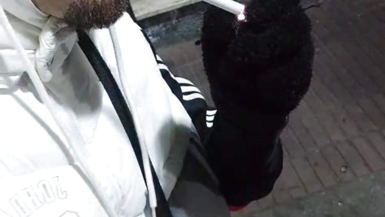 Puerta/ escudo - video by MatiasflamaV cam model