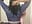 Officer Pink gets you hard and Horny - video by pinkrackz cam model