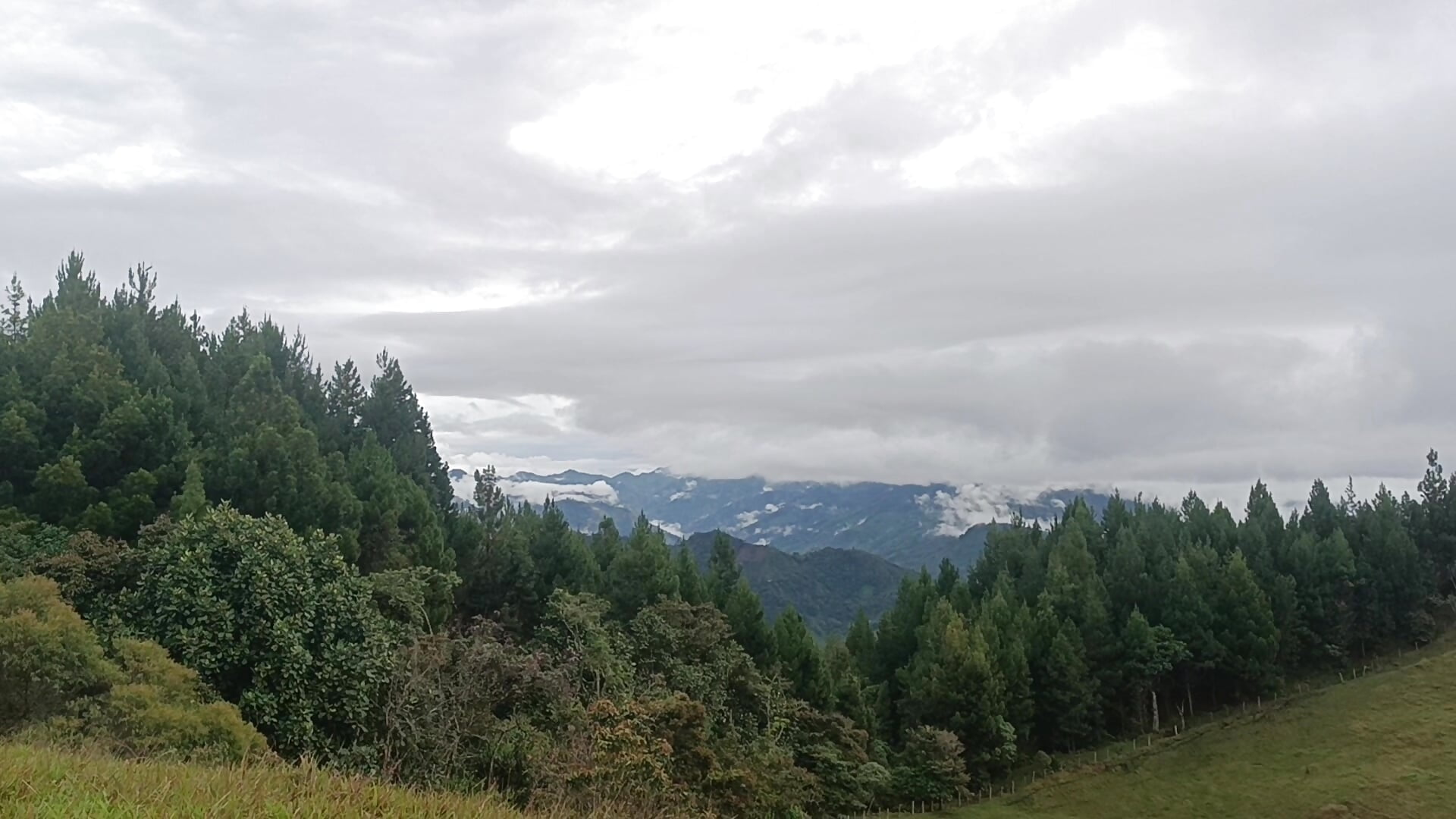 High in nature - Video von Thomasjons_ Cam-Model