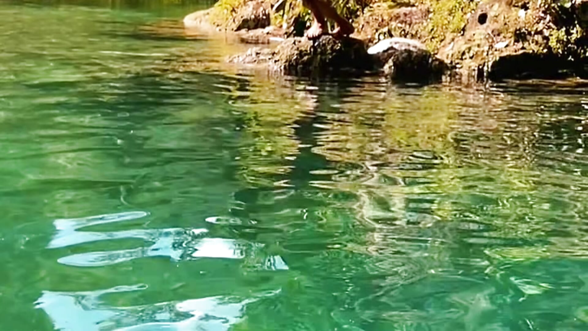 I love nature💦🍃☀️ – видео вебкам-модели Dreams_Goldens