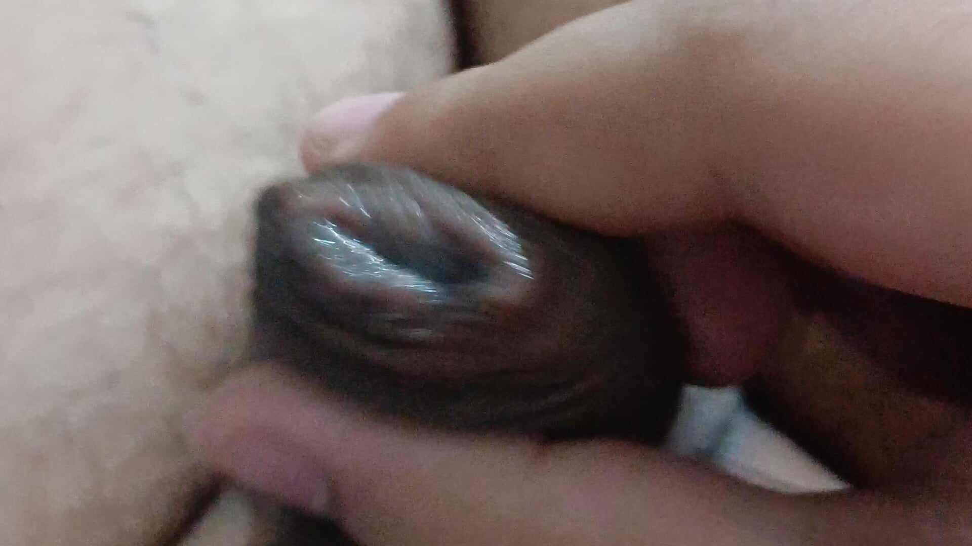 My huge cum load - video by jackmansoft4 cam model