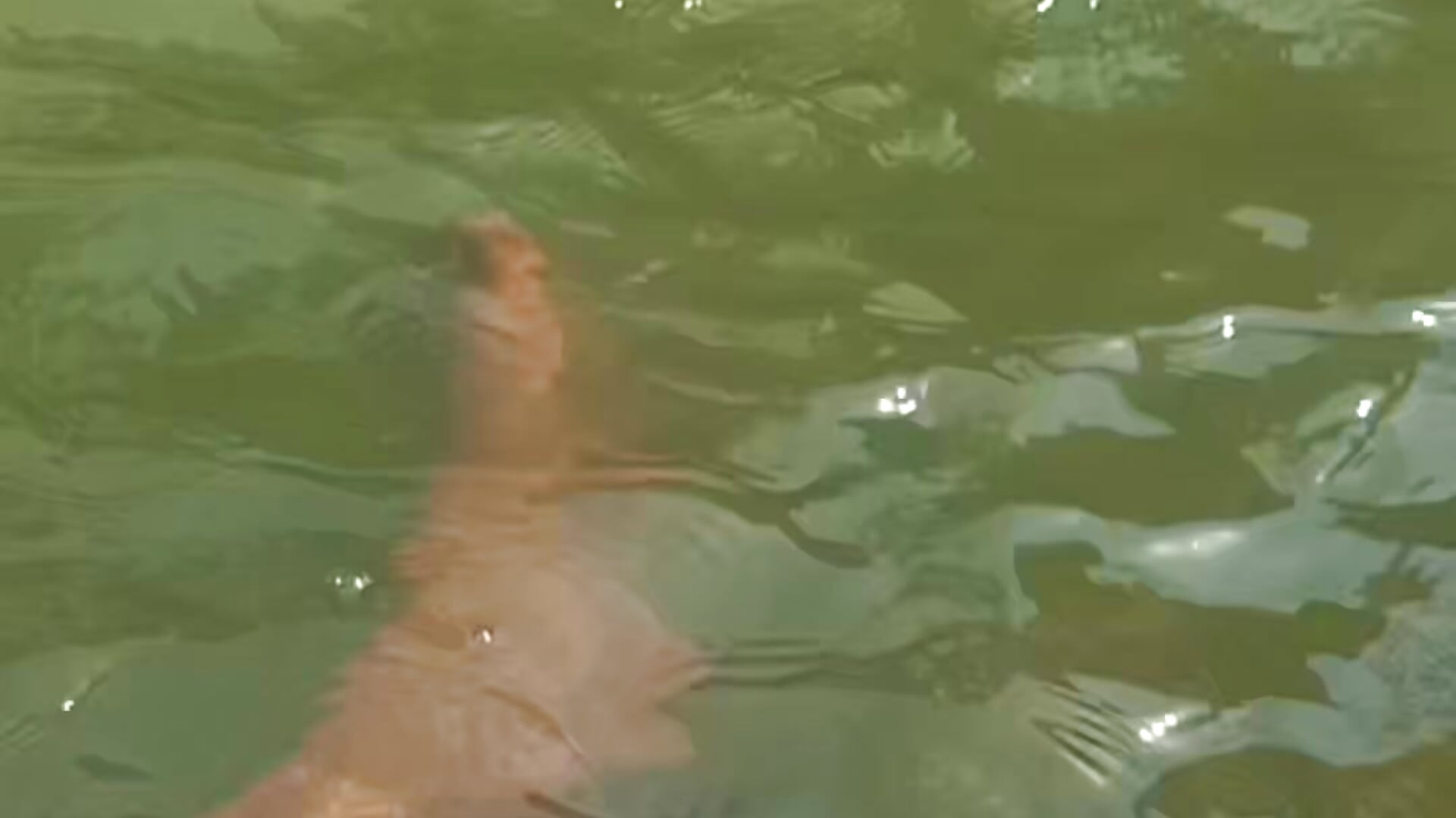 Waterfall shower - video by Aryan-7inch cam model