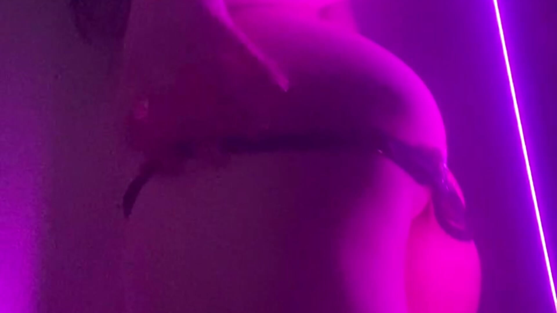 do you like neon lights...