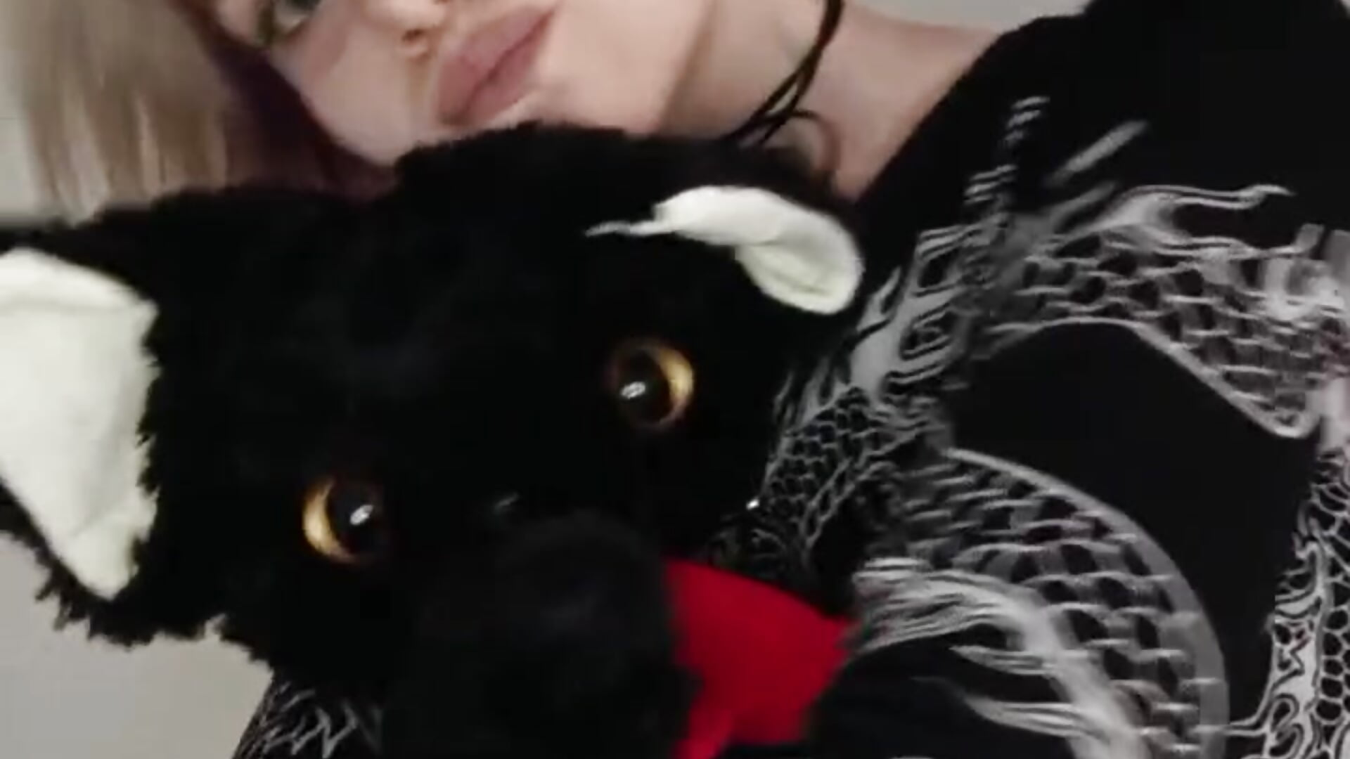 My favorite cat :3 - video by EllieMurler cam model