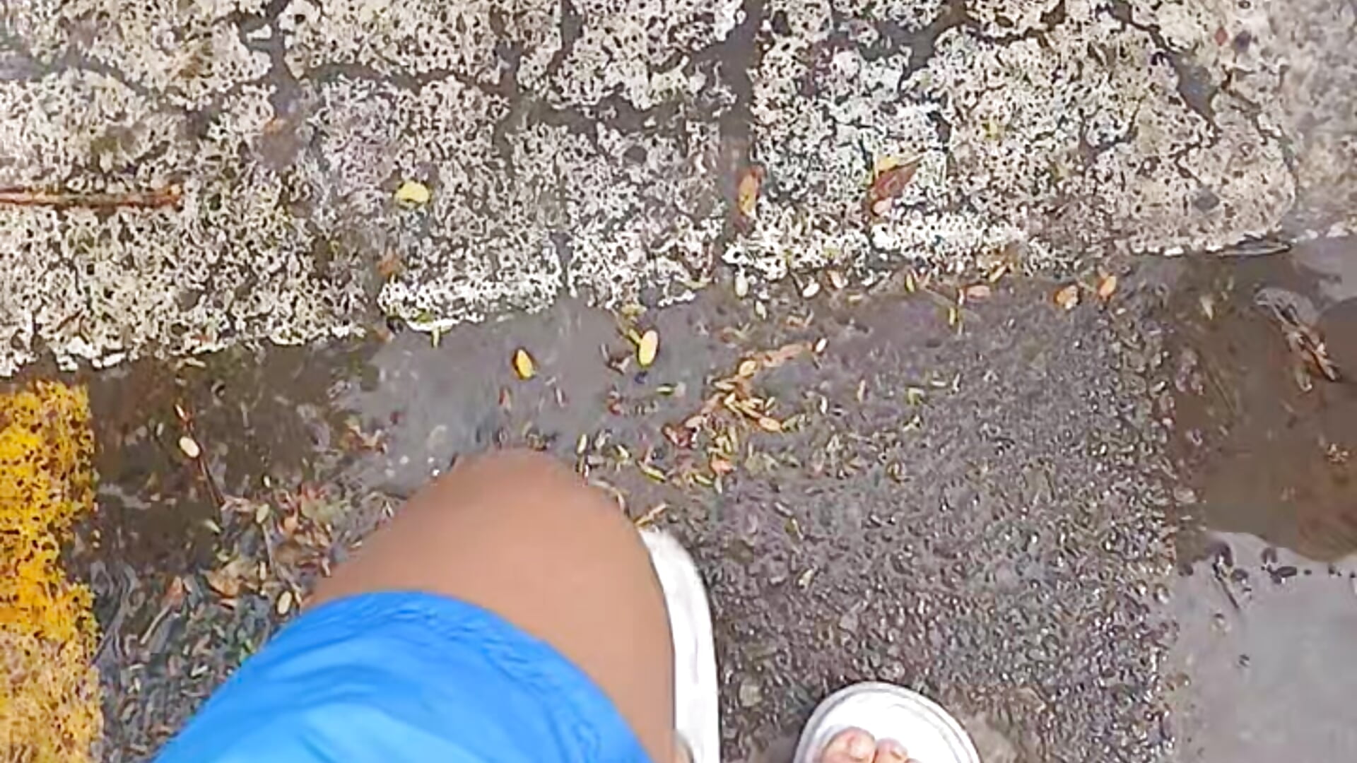 walking through the streets of my city - video của người mẫu cam Violet_Dream2