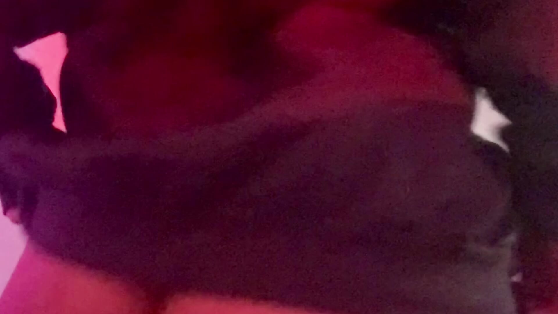 sexy dance see my ass - video oleh model kamera Bella__Lane