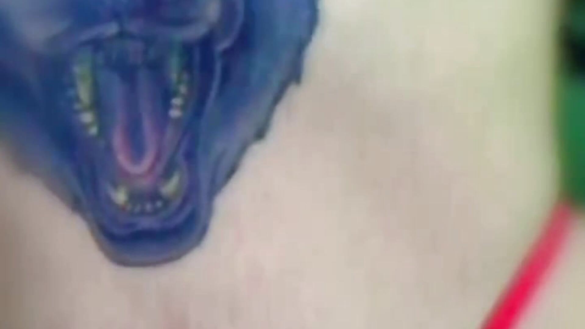 trim,6BFA3A2F-2804-4254-8A43-C8A475F59025 - Vídeo de Newmeshh, modelo de vídeos