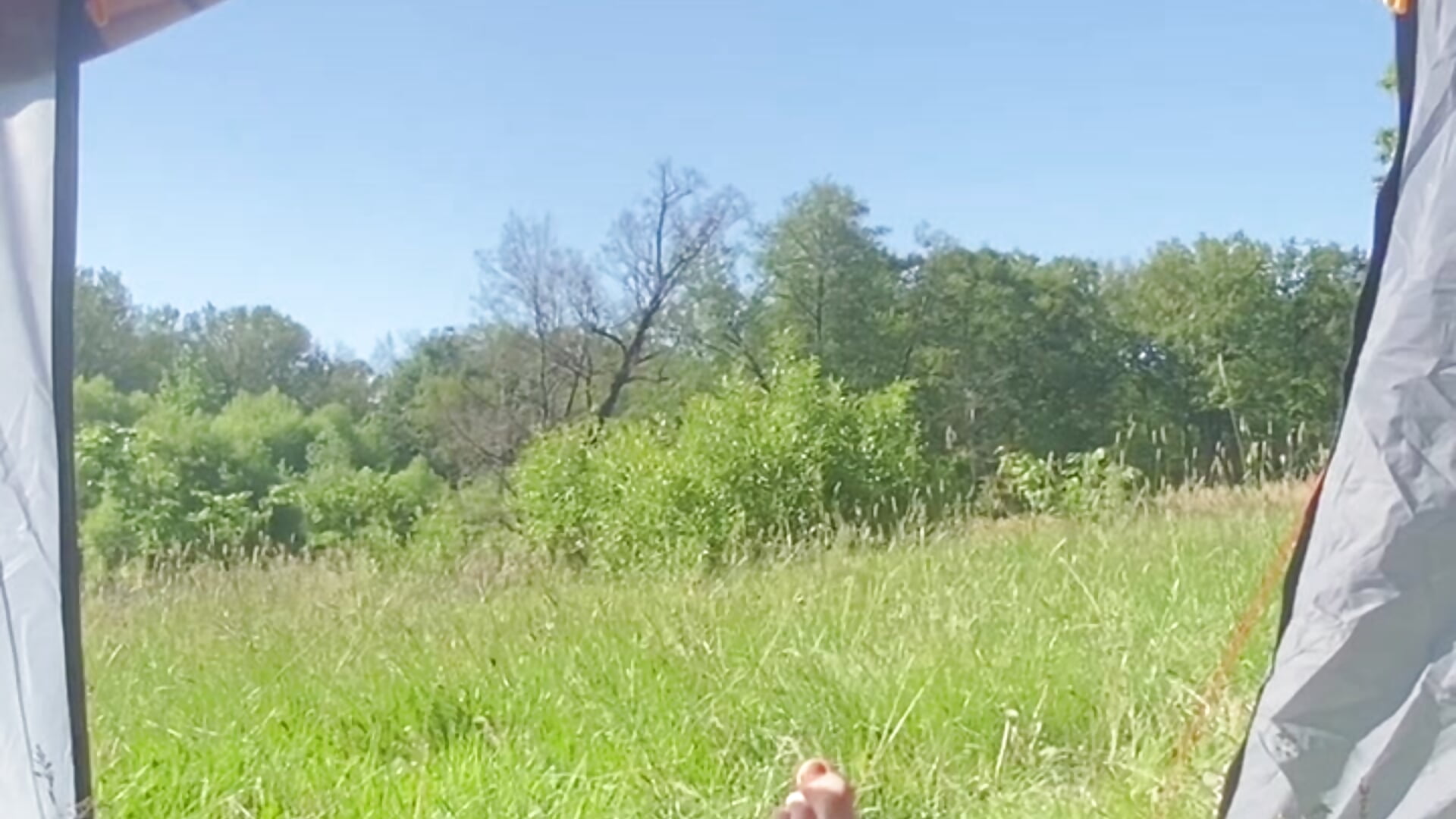 my bare feet on green grass in the wild