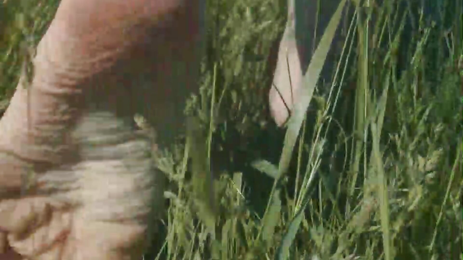 It gives me special pleasure when the grass, hot from the sun, tickles my bare feet.
