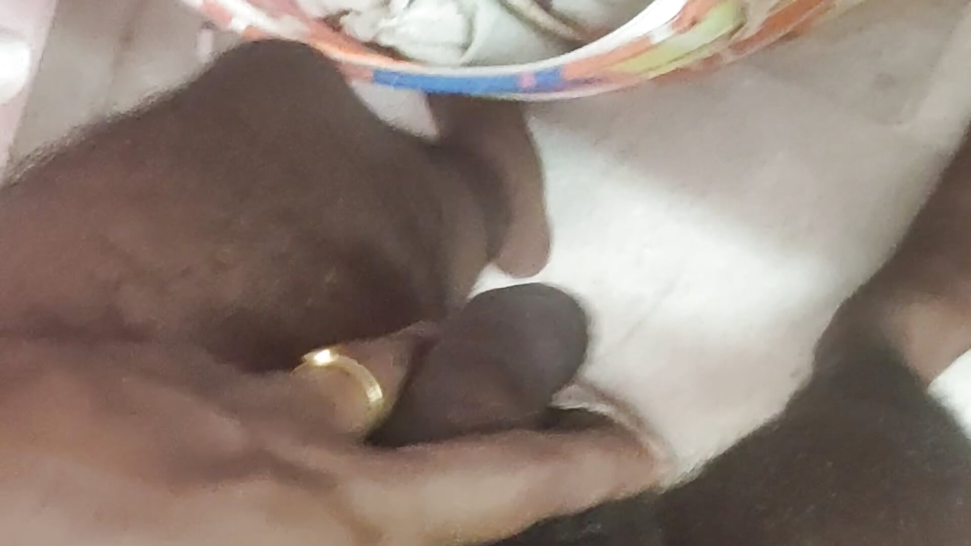 VID_20260104_165543 - hornywildman123主播的视频