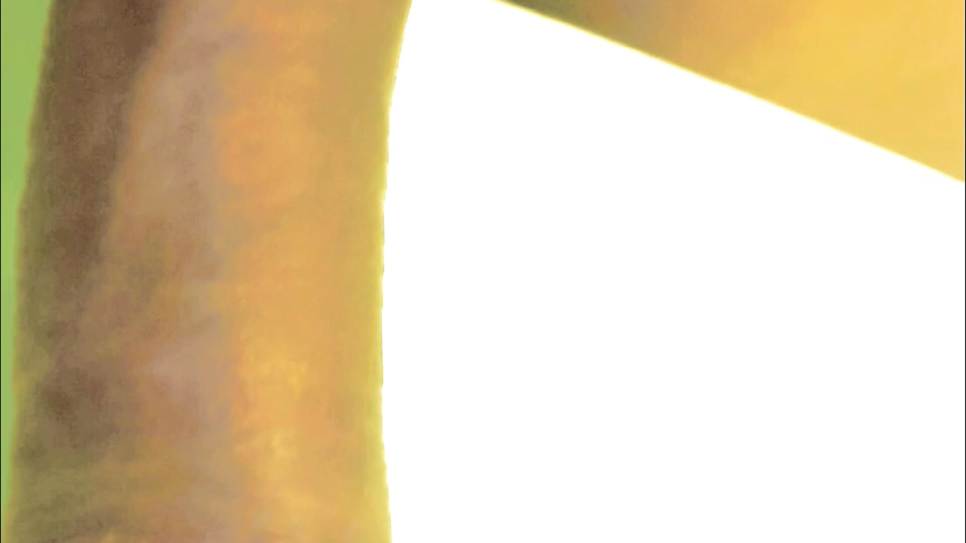 1000277918.mp4 - vídeo de saik_03 modelo de câmara