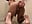 trim_C416ABCD-395B-411B-8779-860DB6D1E5AD - video by santifisting cam model