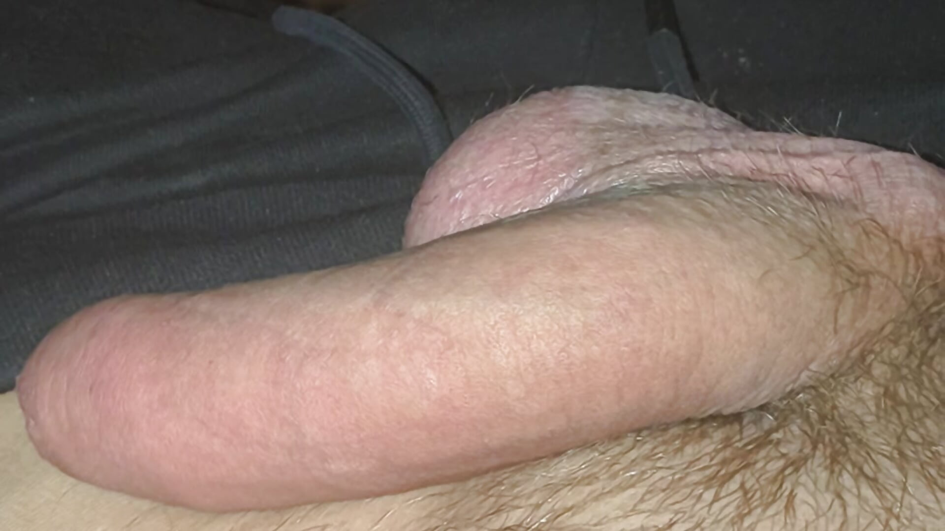 797 - video by SepaloidBowl cam model