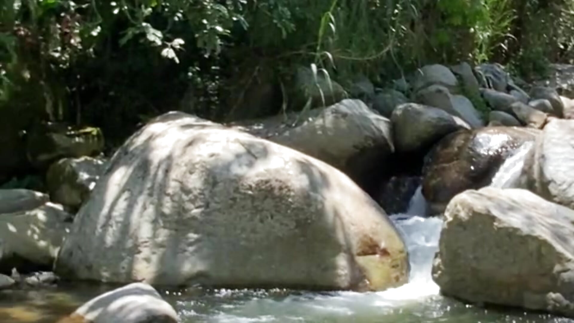 Free Video River Colombia