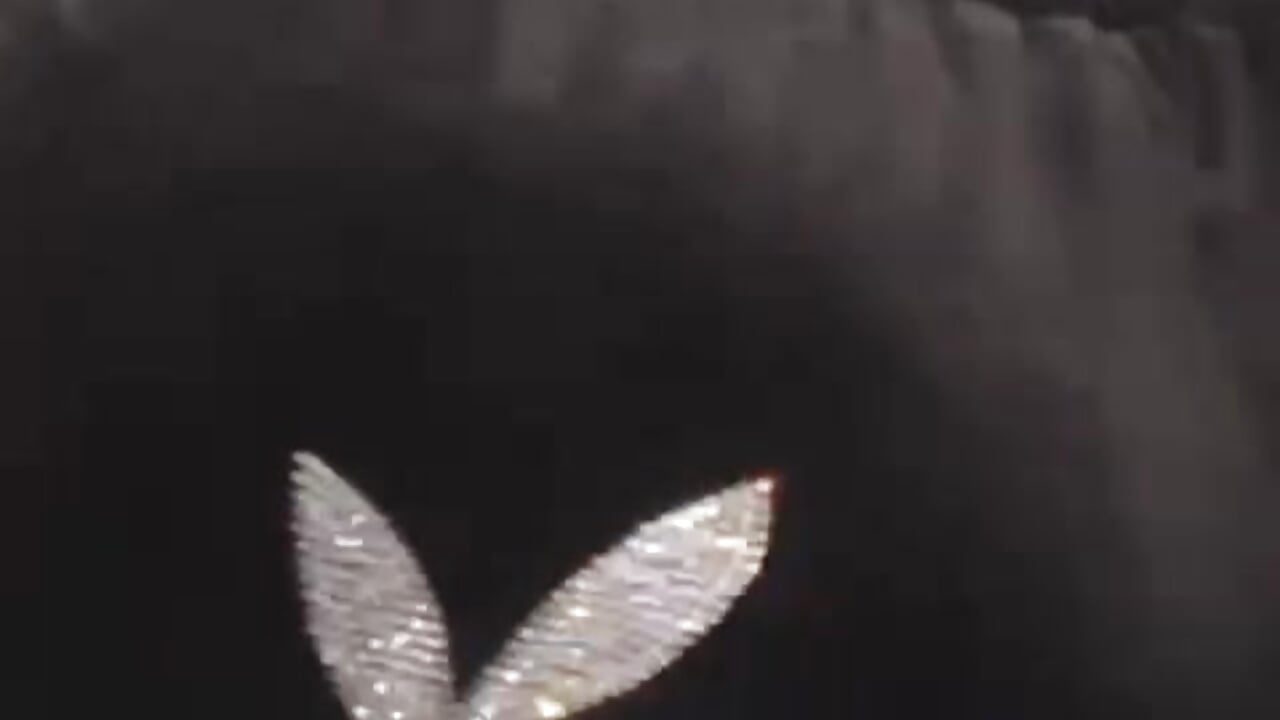 🐰 - video by DreamGirl18 cam model