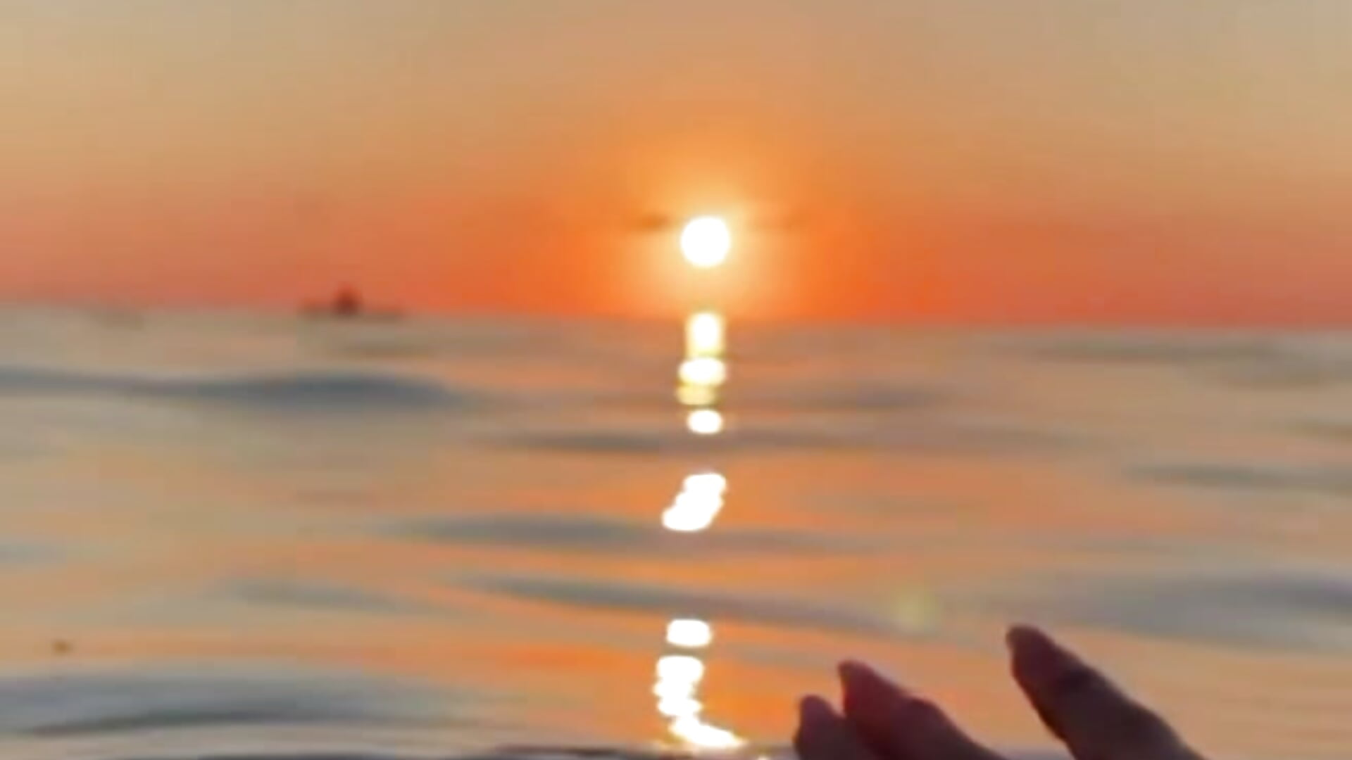 IMG_6652 - video by belly_bey cam model