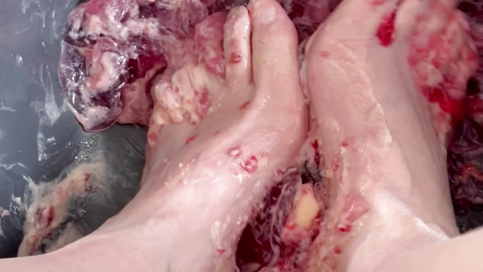 Feet/jelly/closer/squelch