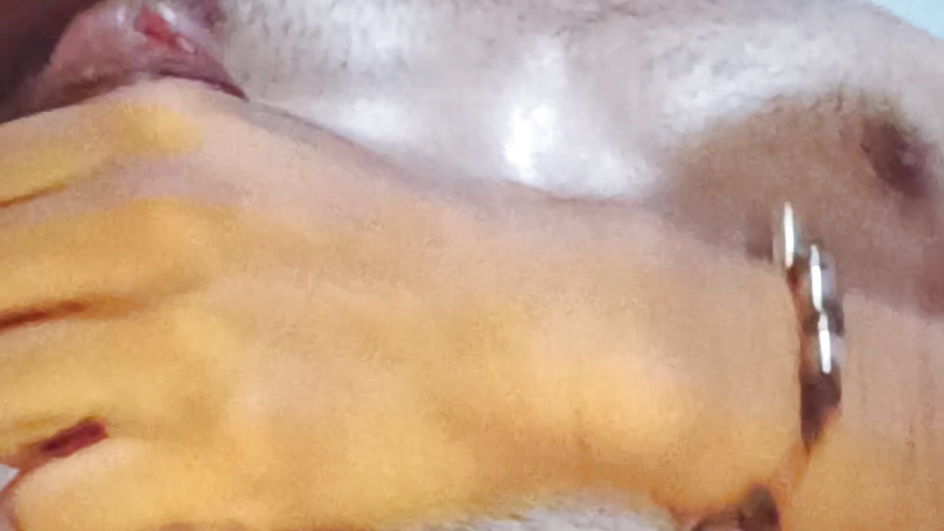 Hot cock - βίντεο μοντέλου Npga96