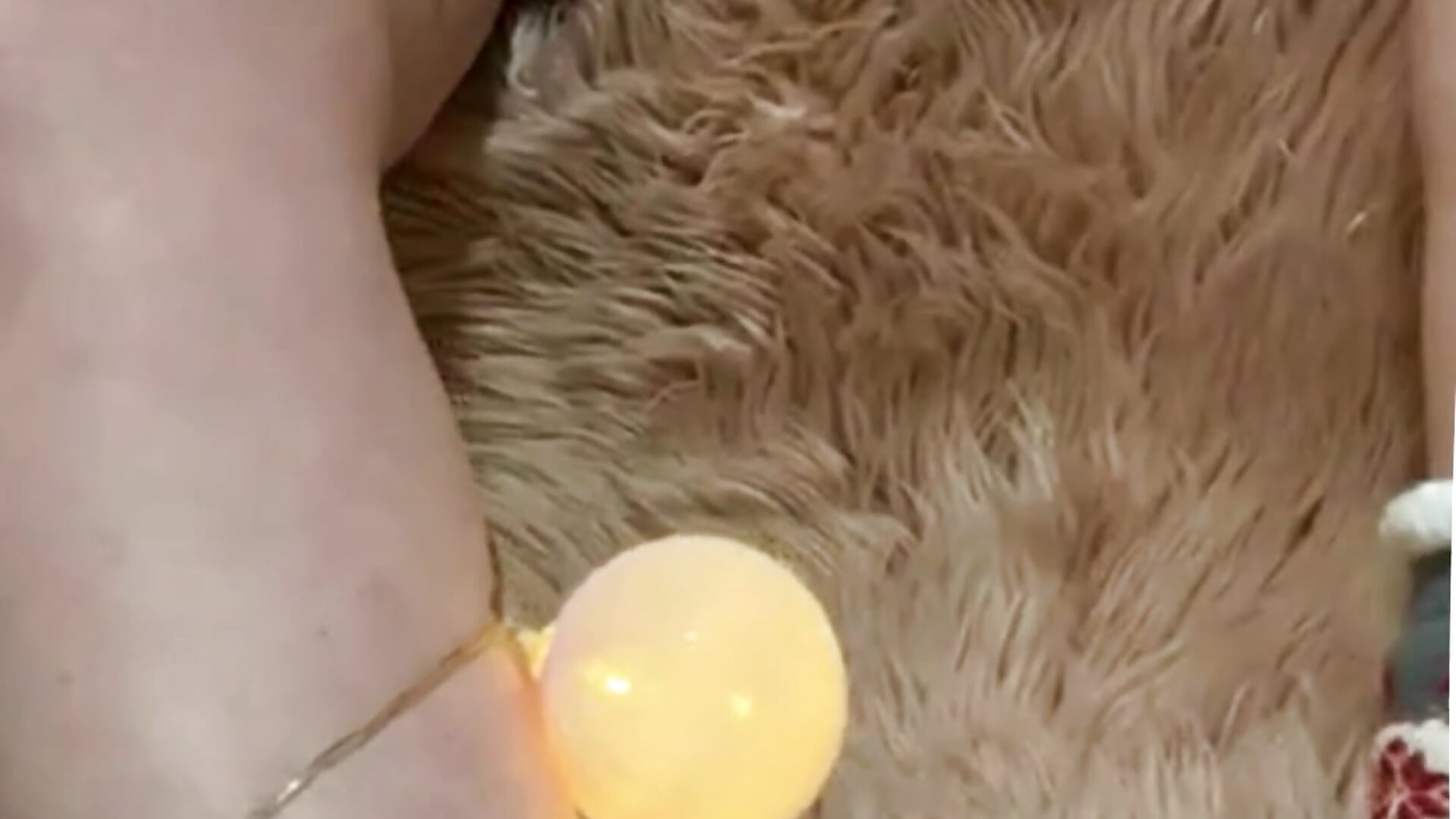 Merry Christmas!! - video by HellenDesire cam model