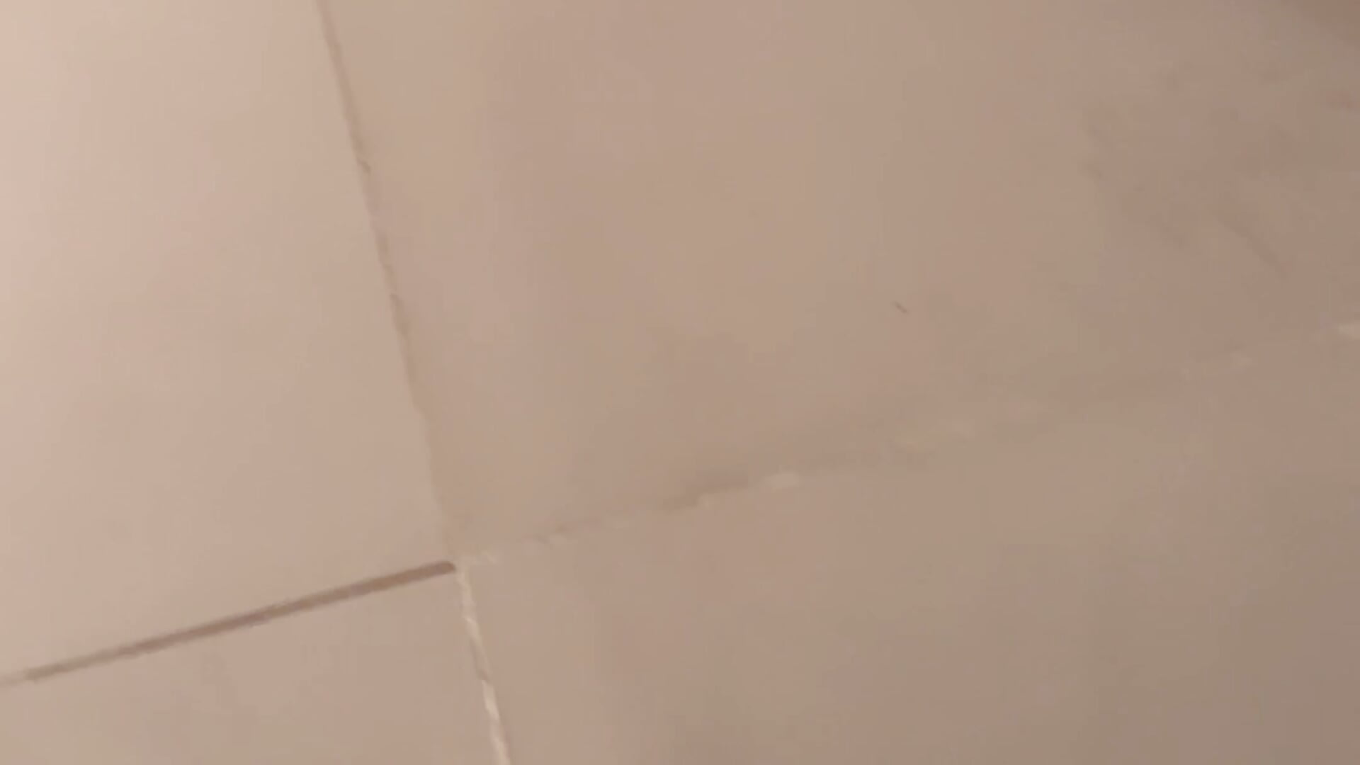 🐽🐕 - video by Ammberly__Adam23 cam model