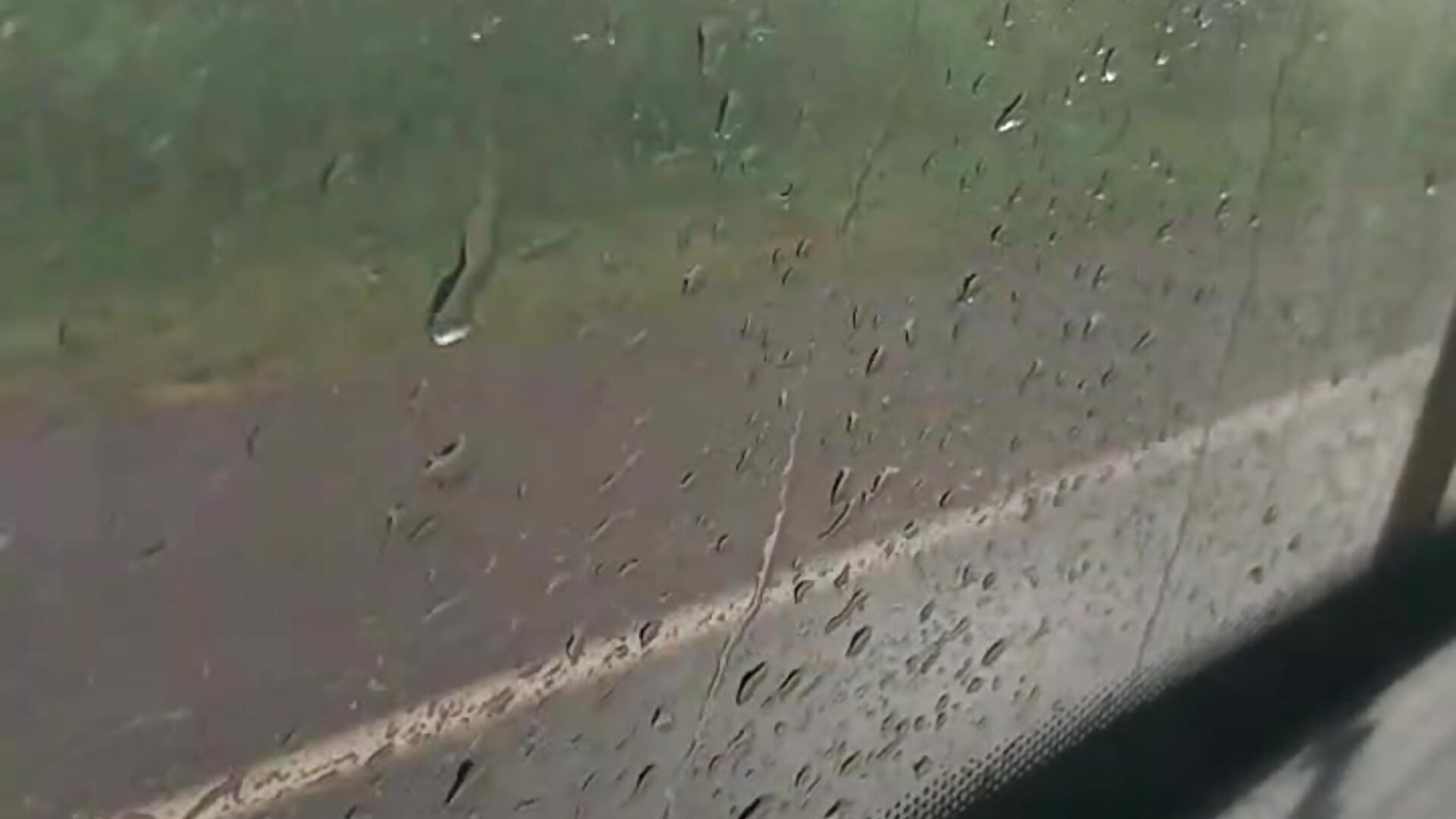 VID-20220202-WA0008 - video by liciarosio cam model