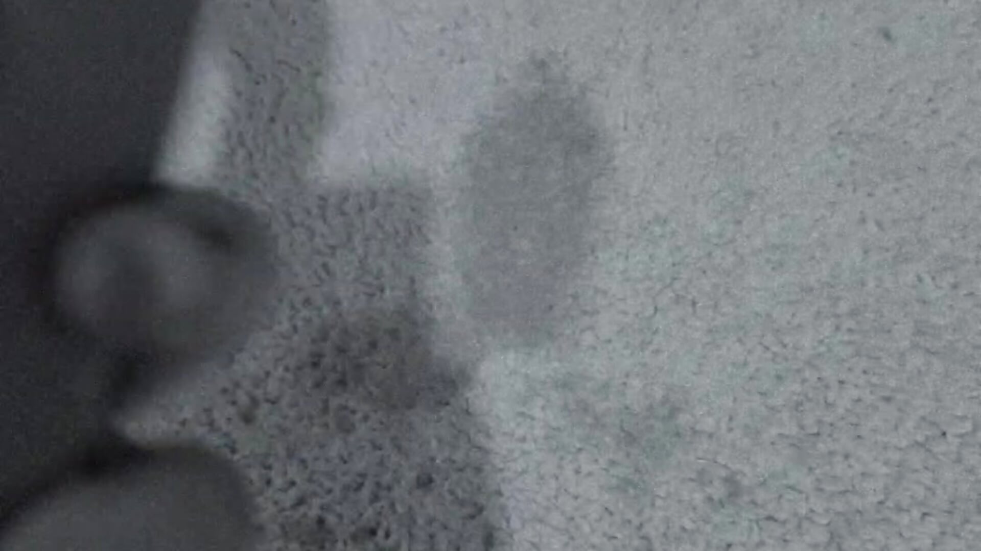 1000152602 - video oleh model kamera blulexii_xo