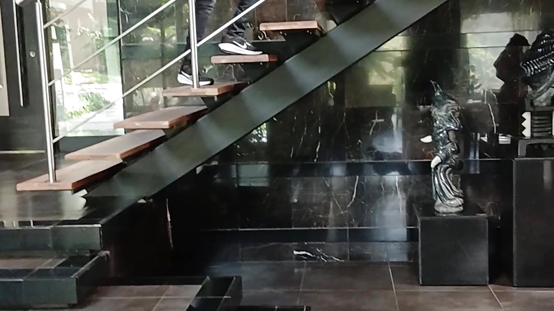 Fizozoo - video by Fizozoo cam model