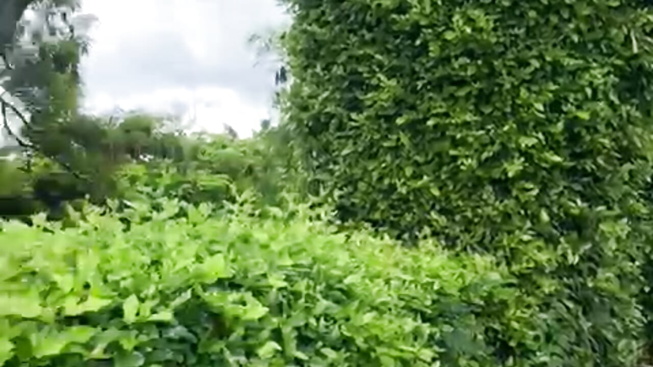 A very fun weekend😋 - video by GabyMoreau cam model