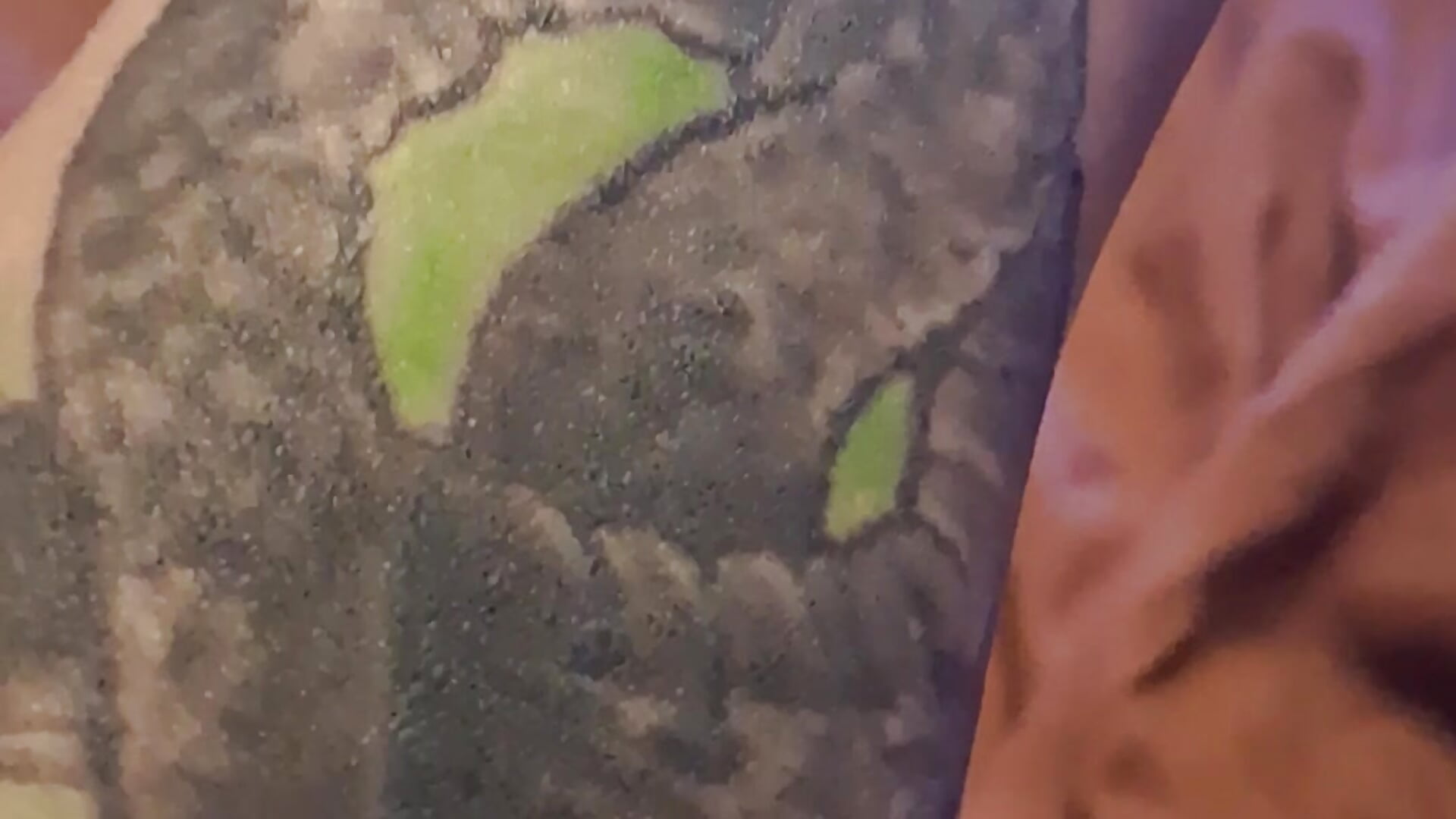 Tatoo - video by Titotitin cam model