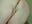 Im slowly down  on you with all of my things hot thinds wet x - video by TsPostophere cam model