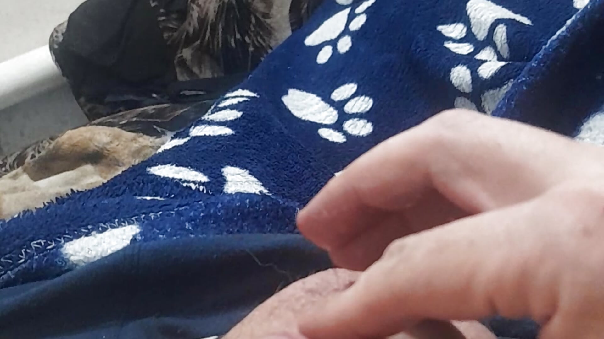 20250525_012618 - video di DiluvianLit modella di cam