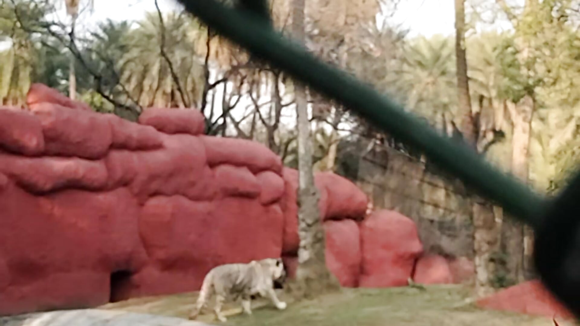 1000125128 – видео вебкам-модели Rahulisagoodguy