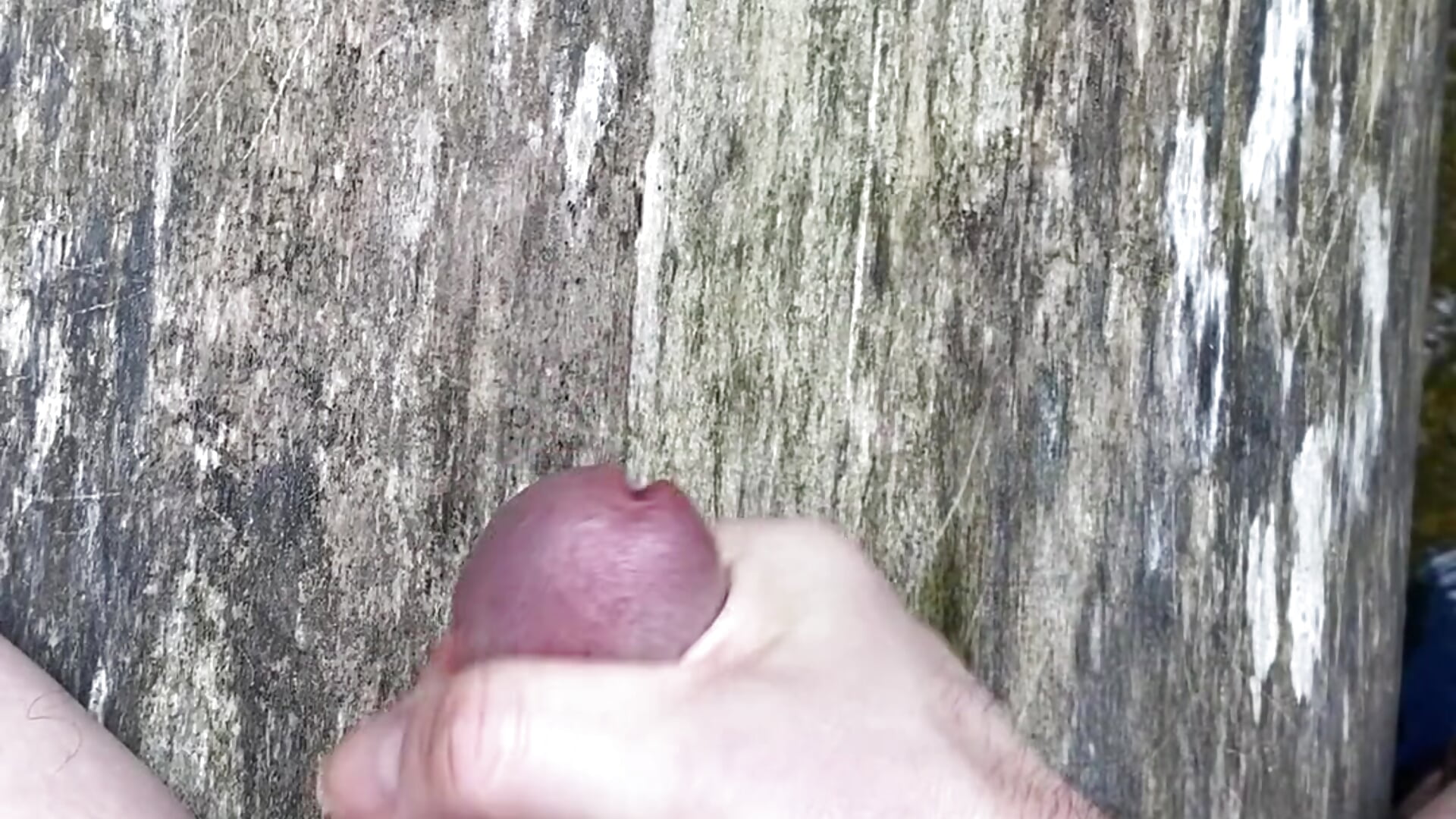 Thinking of Redheads. - ptolemyeh1主播的视频