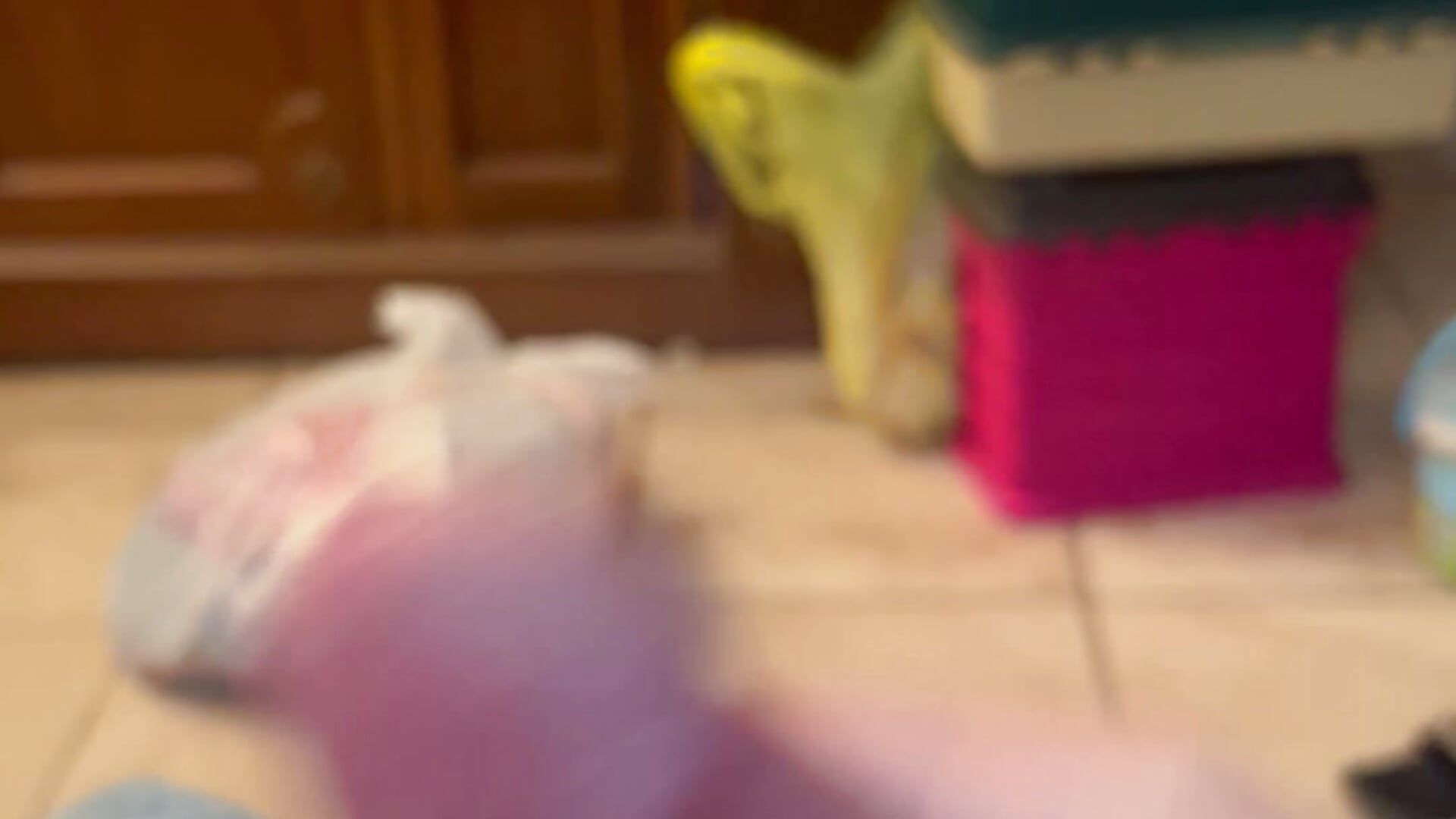 IMG_1453 - video by Keigen13 cam model