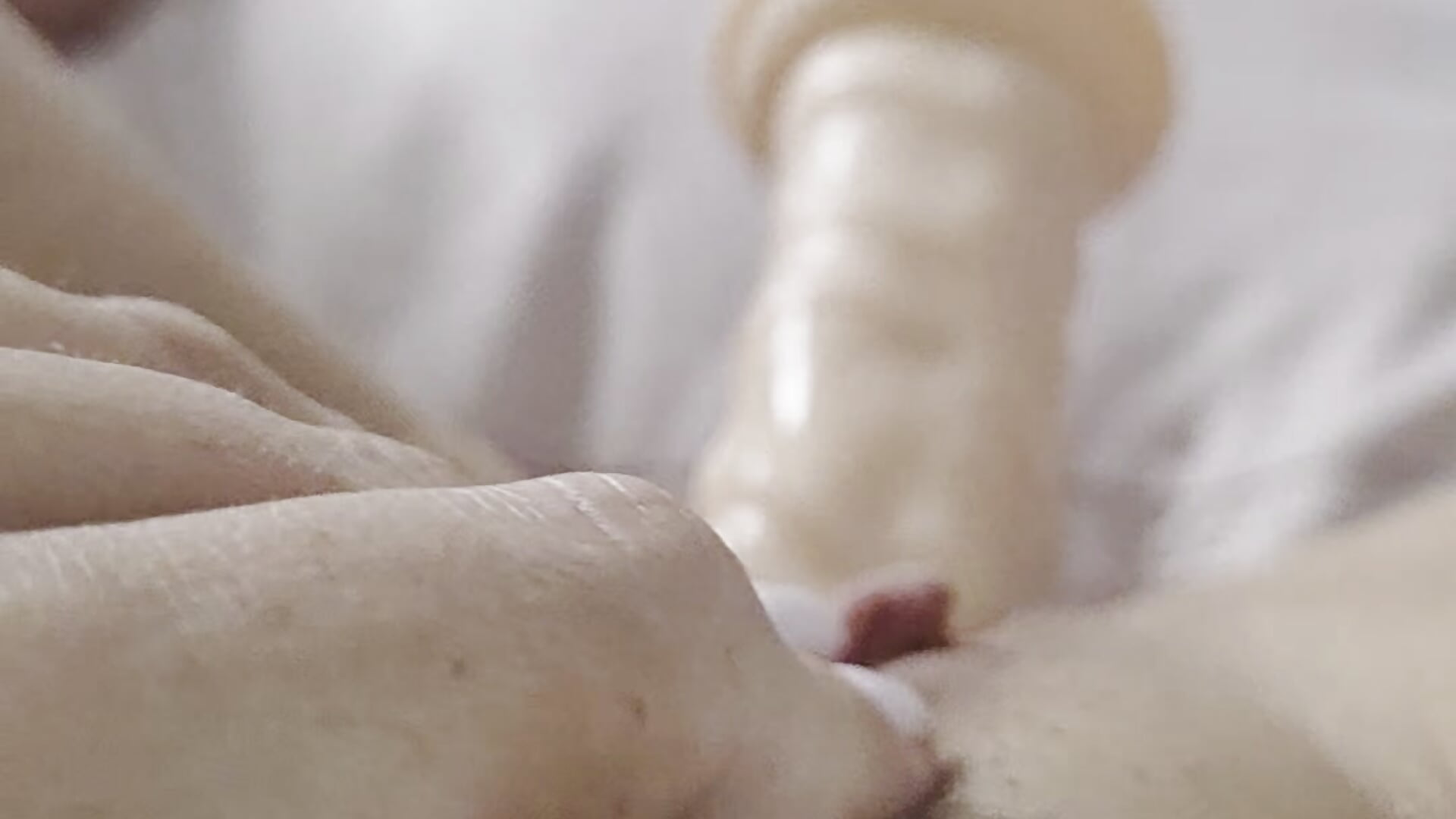 My cute pierced pussy 😉 - video by MissLolly92 cam model