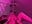 IMG_6617 - video by Mollyinyourmind cam model