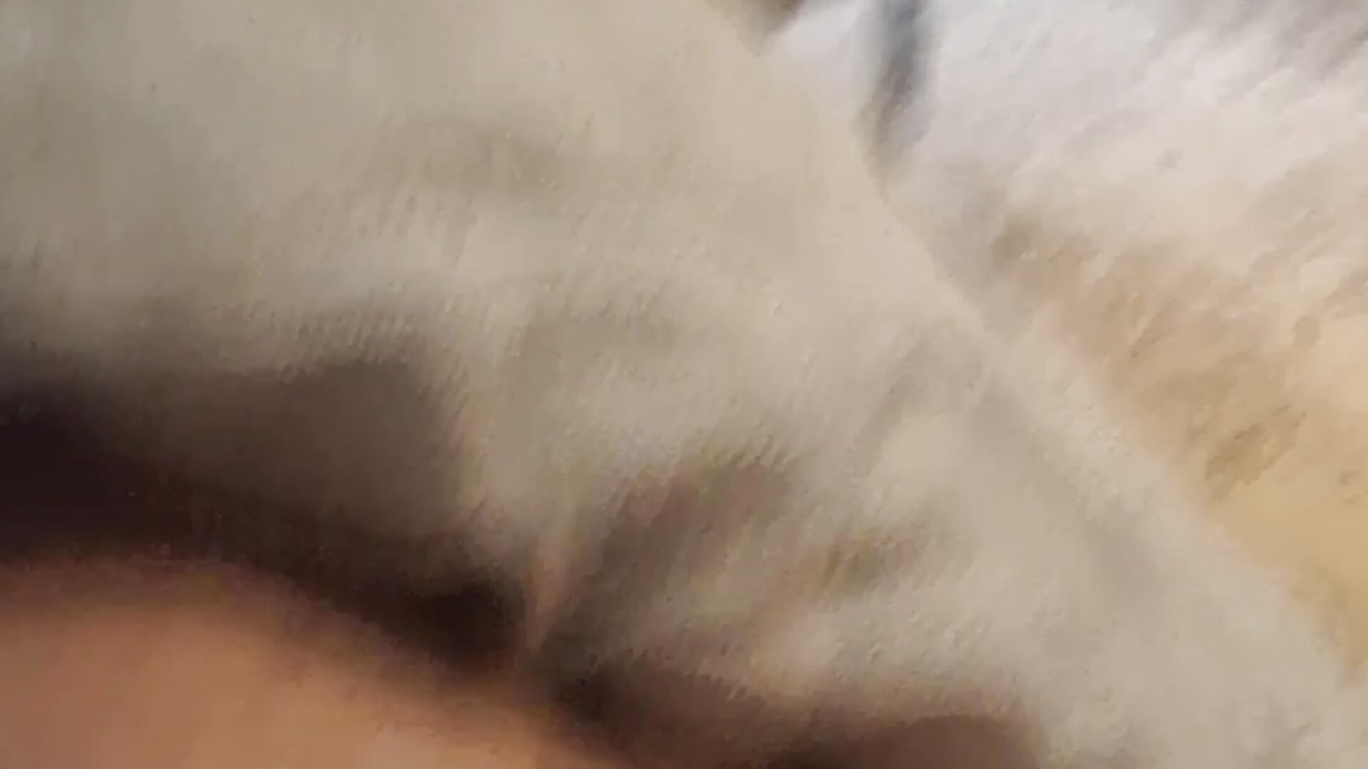 20250920_090155 - video by Bamse28 cam model