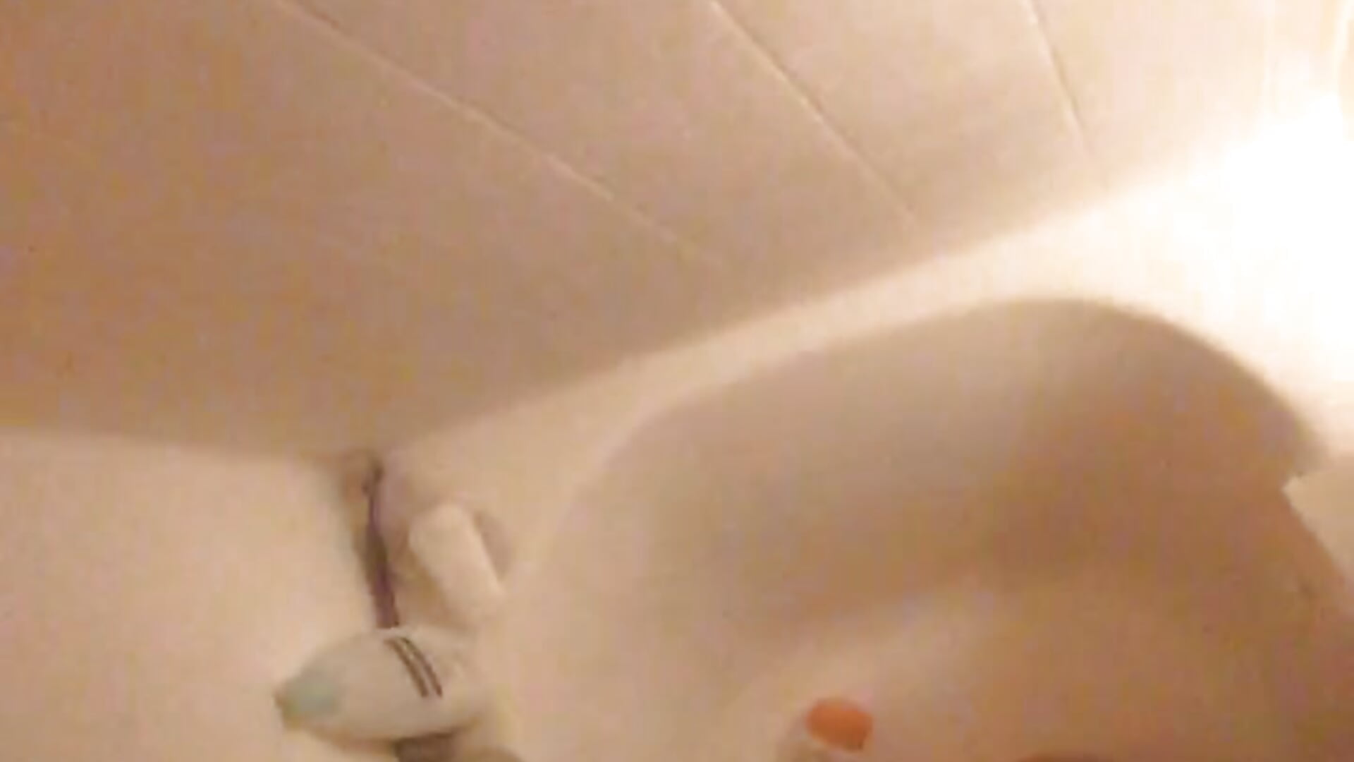 Ass - video by khollock420 cam model