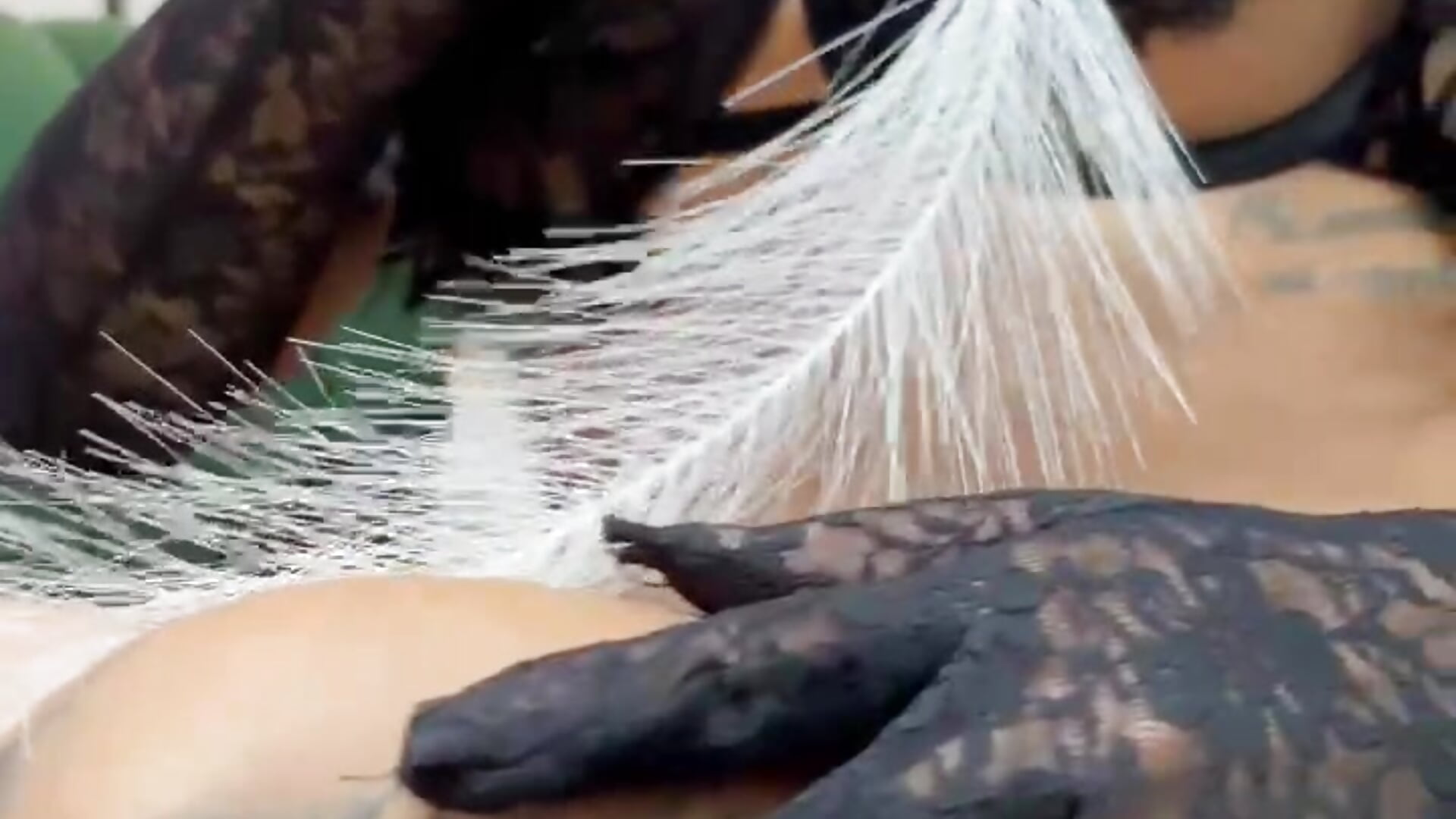 hey my love– Beverly_johnson kameramodell videója