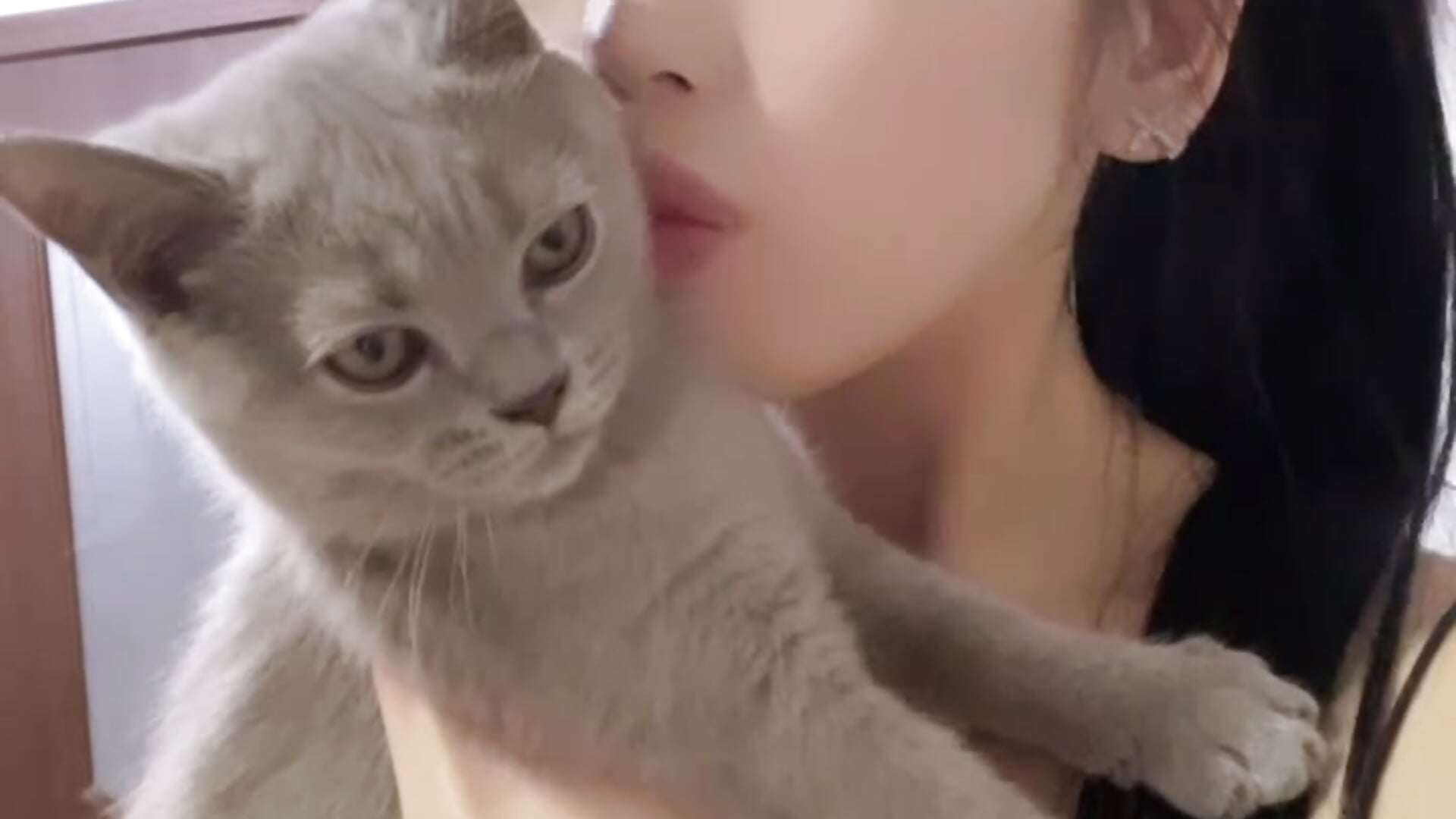 pussy cat dolls – video af PinaChen