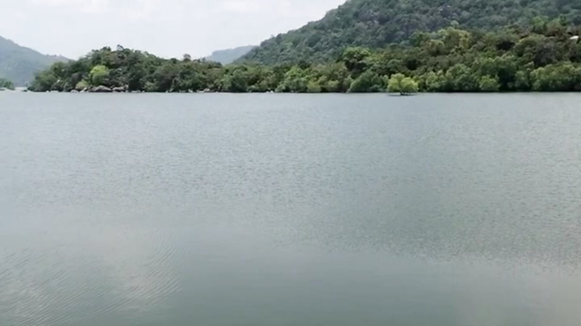 eddc94ba4c274315a16fcd7bb5577445 - video by DarkSecrect99 cam model