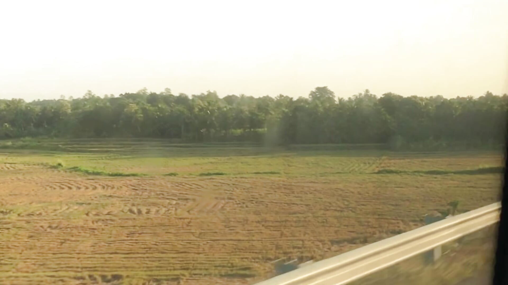 IMG_9290 - video by DarkSecrect99 cam model