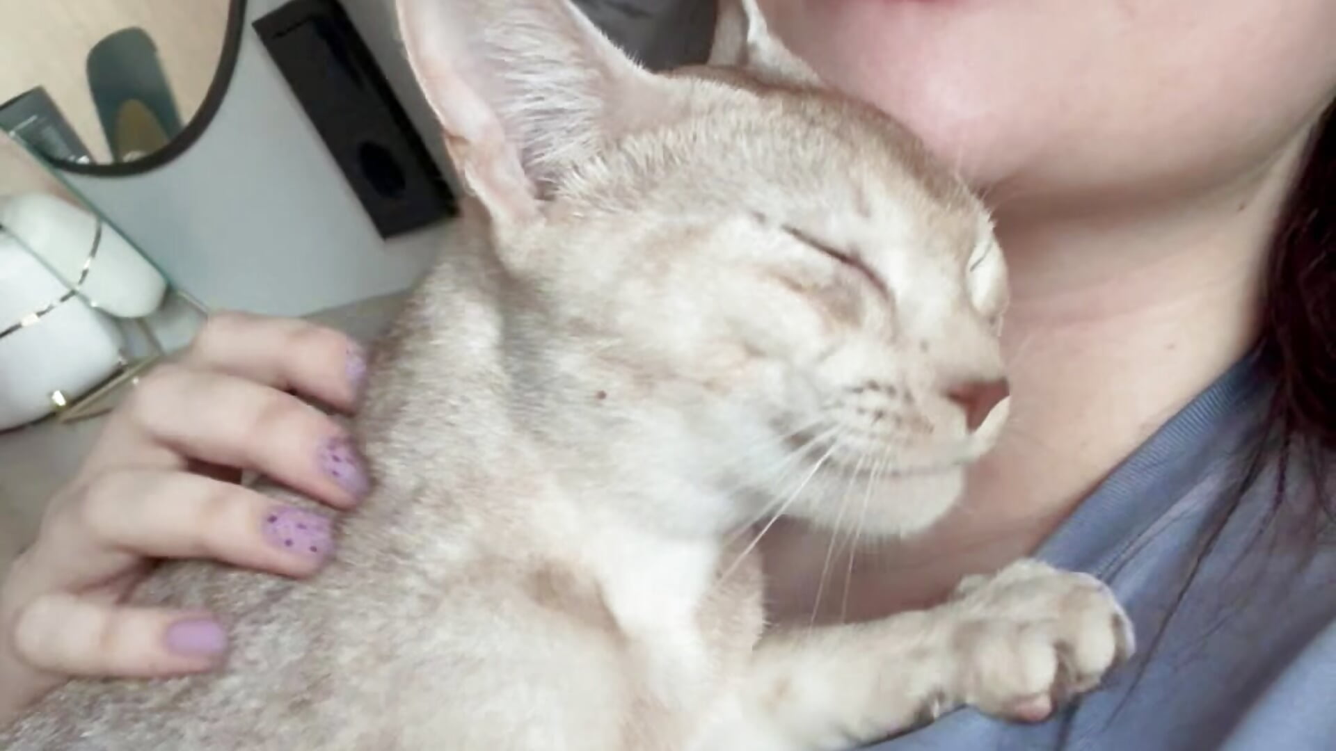 Our routine every time I back home - video by MeganStrain cam model