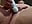 IMG_1864 - video by xxjen69xx cam model