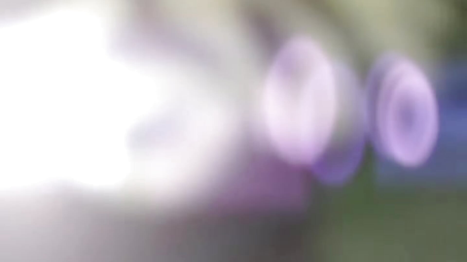 ❤️60k followers❤️ - video by yourfavcouple_ cam model