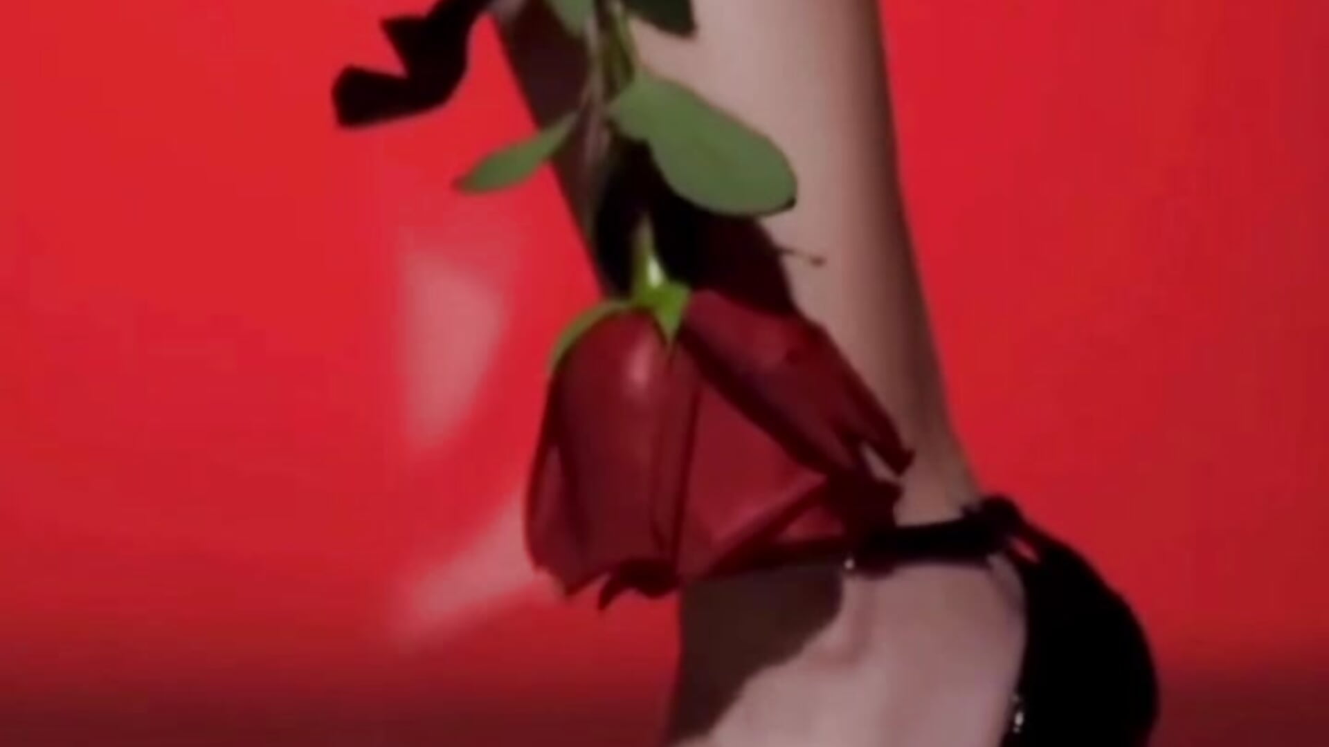 Seduction can start with heels 👠