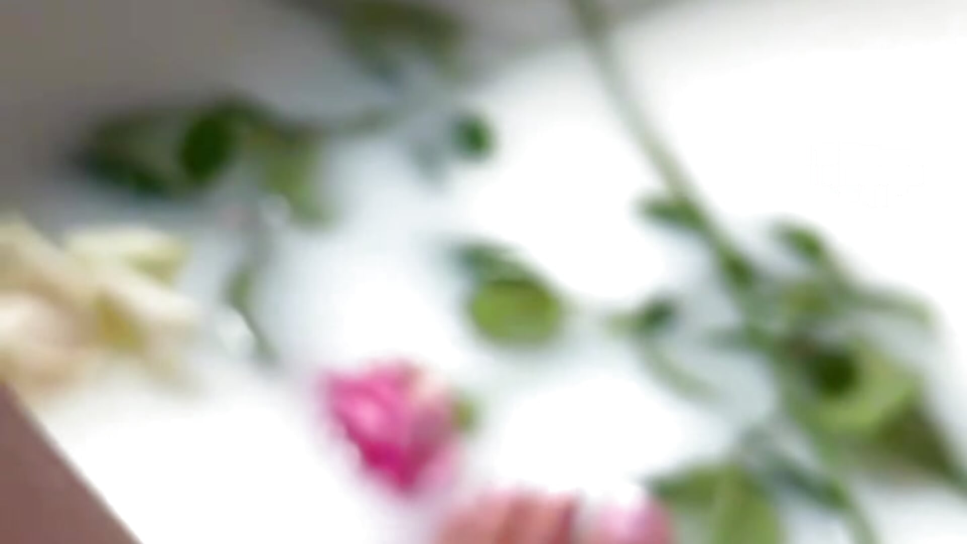 Milky bath for beauty - Witch_in_Velvet 캠 모델의 동영상