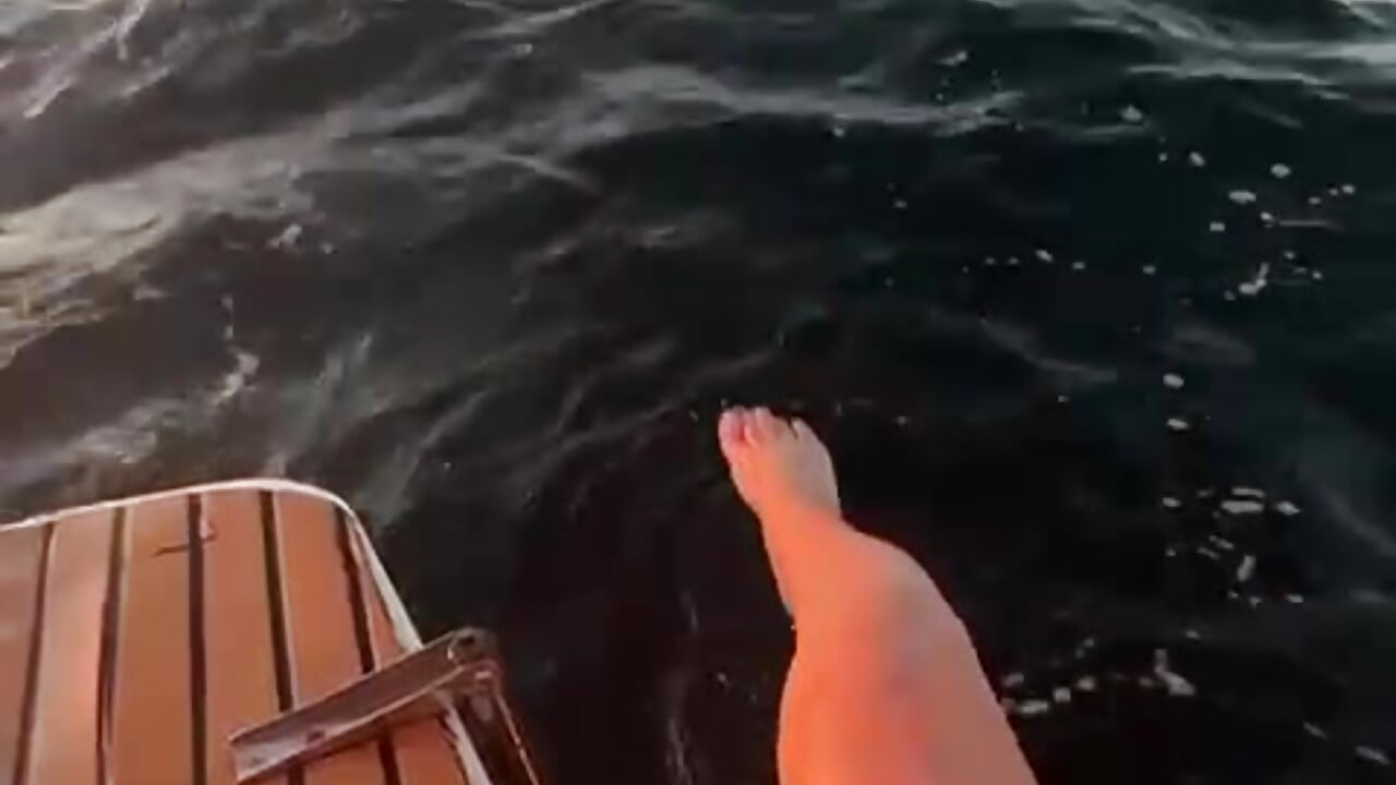 Hello World - video by SophieAsh cam model