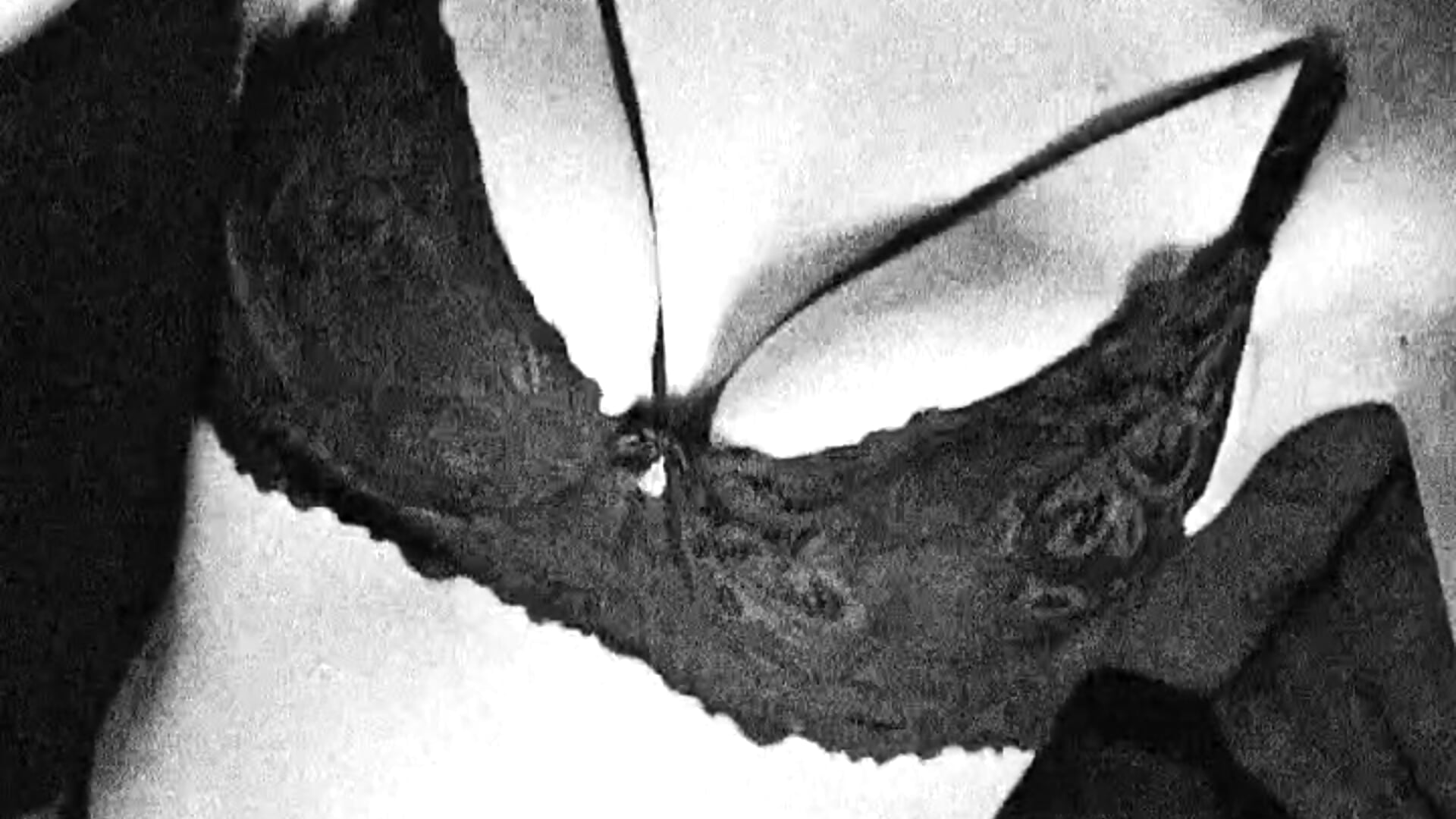 Super Hot🔥 - video by Thess691 cam model